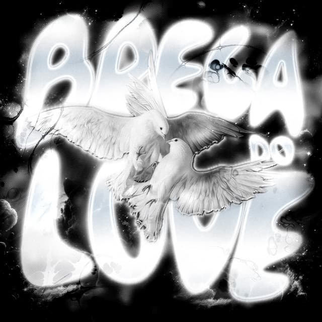 BREGA DO LOVE (ULTRA SLOWED)