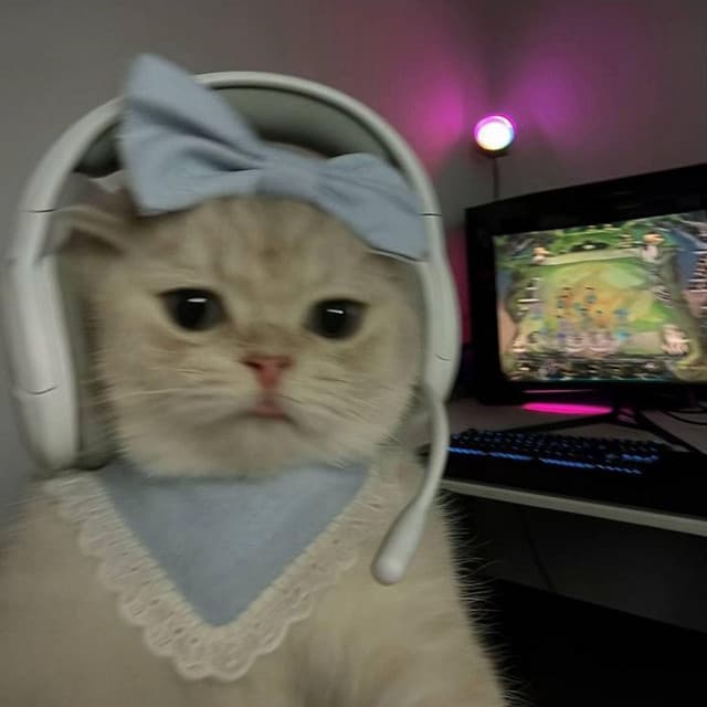 Thomas Theme x Thick Of It